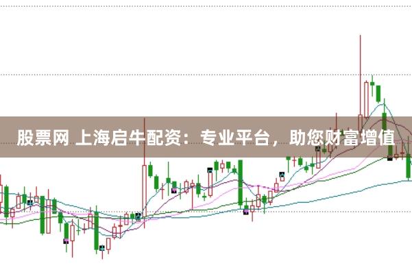 股票网 上海启牛配资：专业平台，助您财富增值