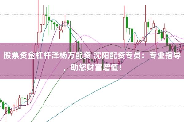 股票资金杠杆泽杨方配资 沈阳配资专员：专业指导，助您财富增值！