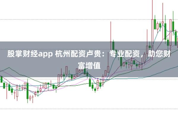股掌财经app 杭州配资卢贵：专业配资，助您财富增值