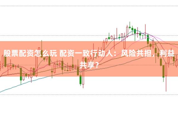 股票配资怎么玩 配资一致行动人：风险共担，利益共享？