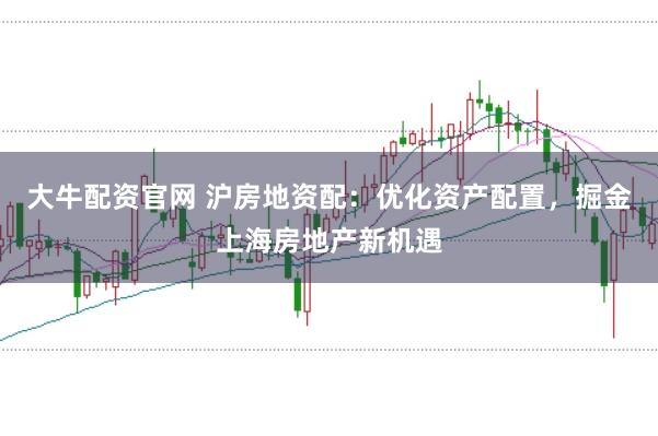 大牛配资官网 沪房地资配：优化资产配置，掘金上海房地产新机遇