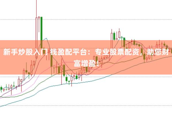 新手炒股入门 钱盈配平台：专业股票配资，助您财富增盈！