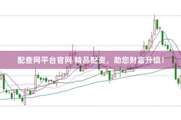 配查网平台官网 精品配资，助您财富升级！