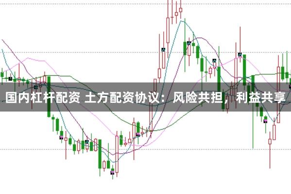 国内杠杆配资 土方配资协议：风险共担，利益共享